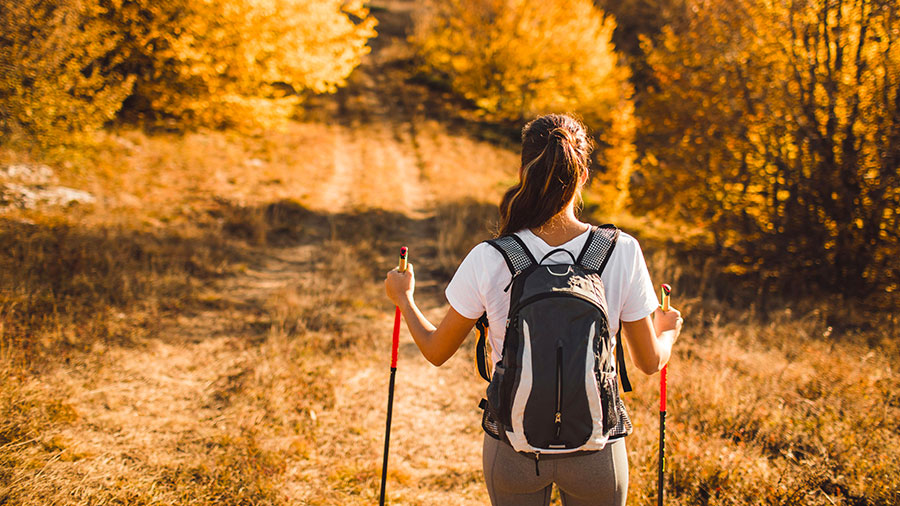 11 25 mdm Faire le chemin à pied